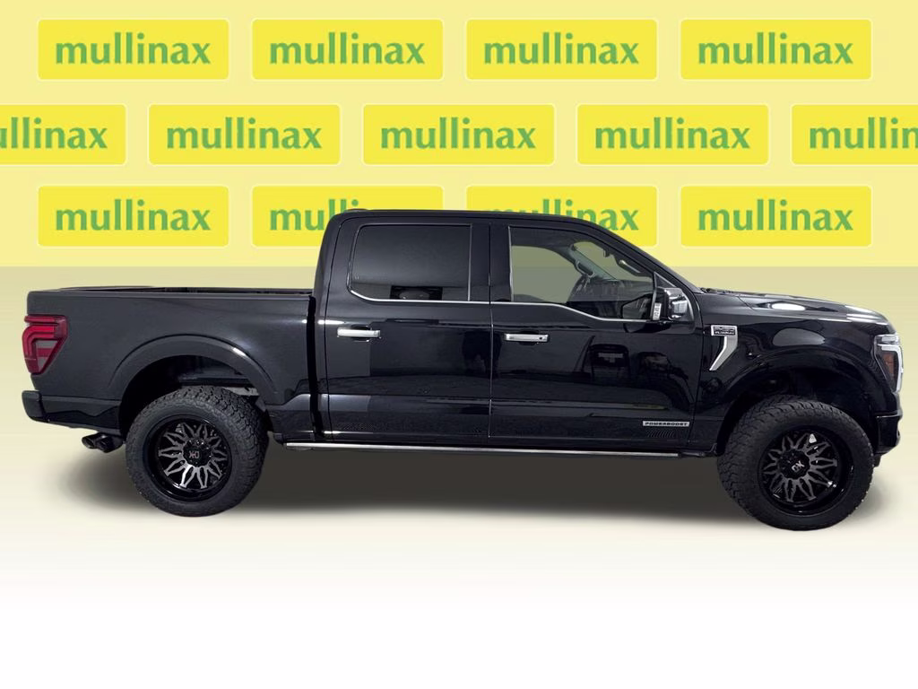 2024 Agate Black Metallic Ford F-150 Platinum 4X4 Truck
