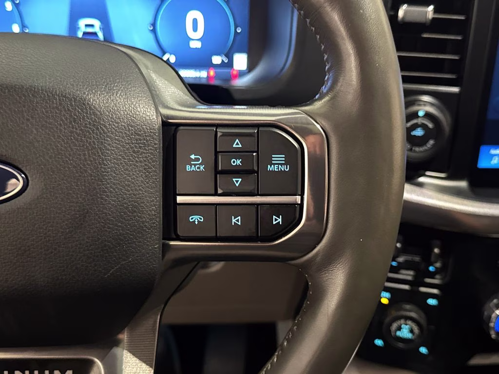 2024 Agate Black Metallic Ford F-150 Platinum 4X4 Truck