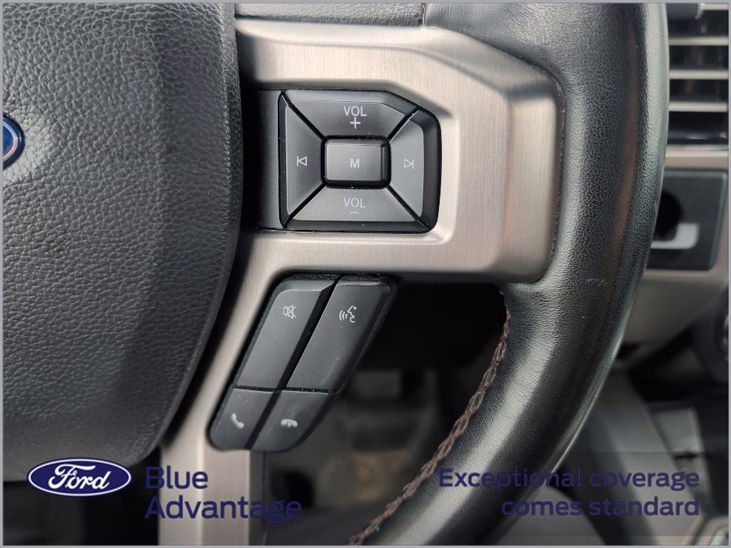 2019 Agate Black Metallic Ford F-150 Platinum RWD Truck