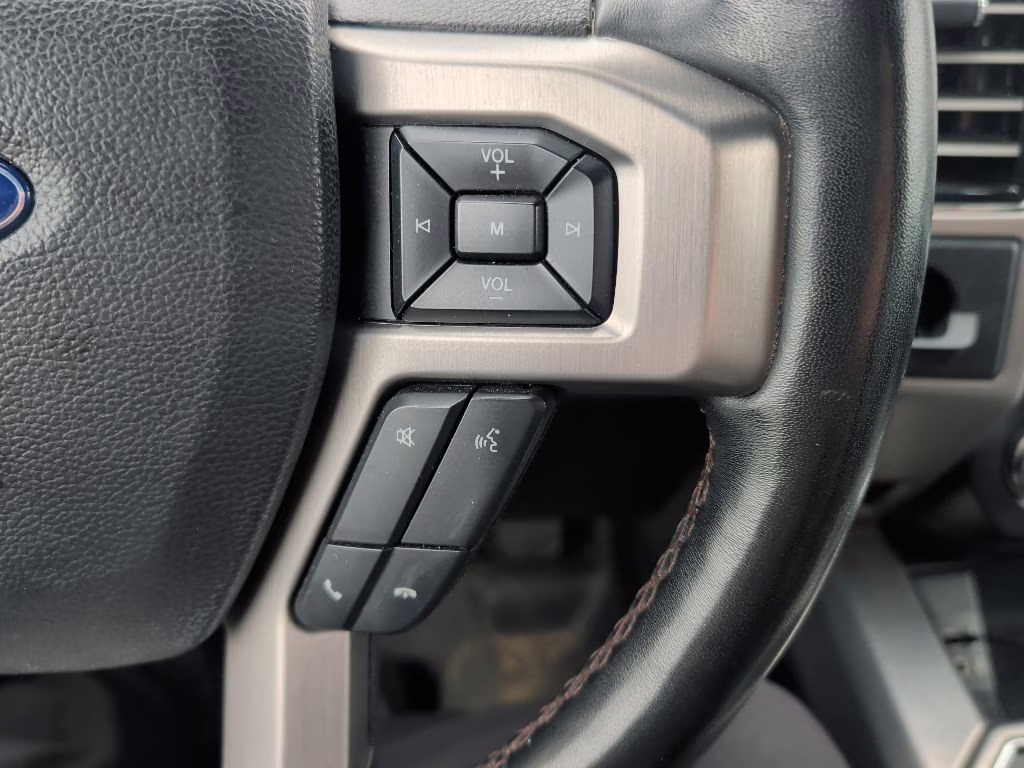 2019 Agate Black Metallic Ford F-150 Platinum RWD Truck