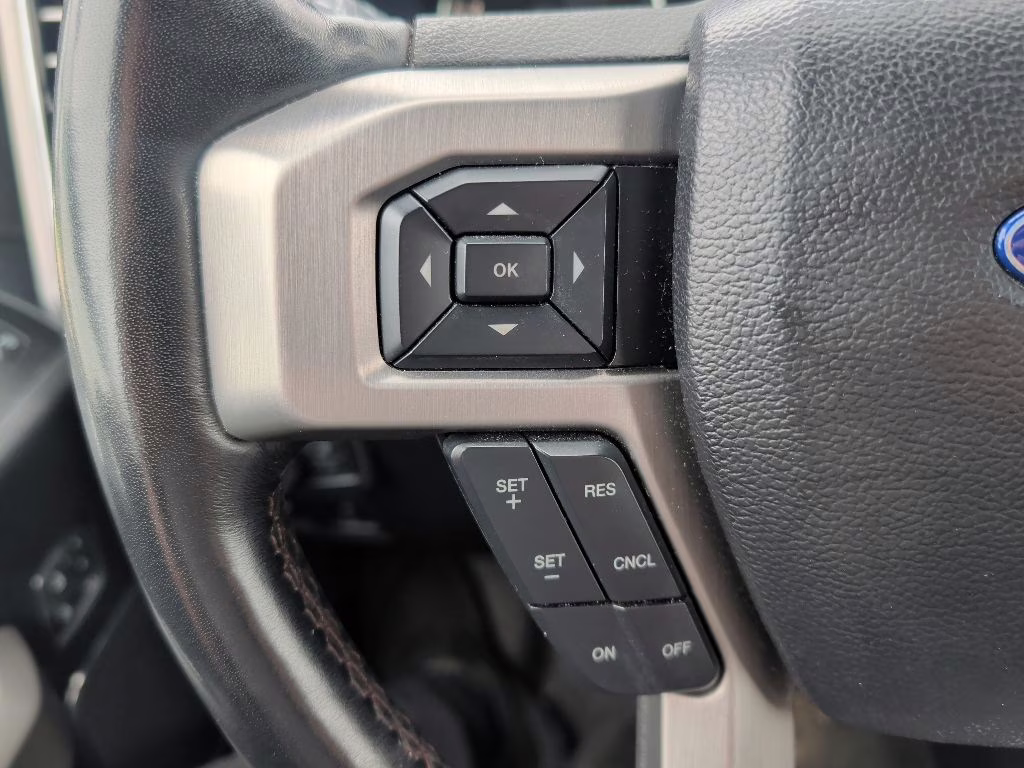 2019 Agate Black Metallic Ford F-150 Platinum RWD Truck
