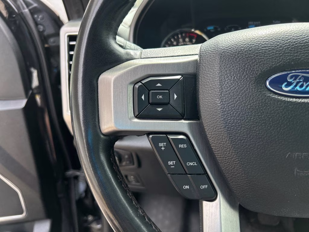 2019 Agate Black Metallic Ford F-150 Platinum RWD Truck