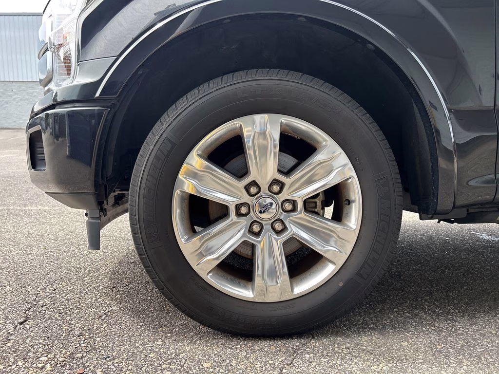 2019 Agate Black Metallic Ford F-150 Platinum RWD Truck
