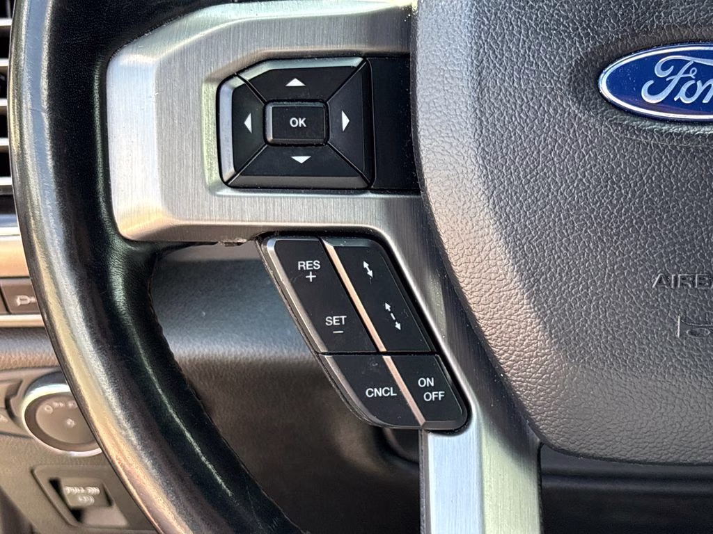 2019 Black Metallic Ford F-150 Platinum 4X4 Truck