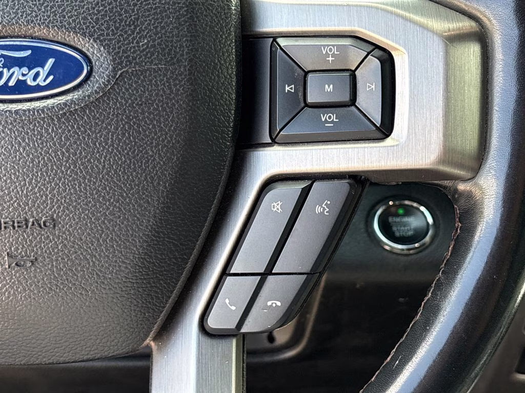 2019 Black Metallic Ford F-150 Platinum 4X4 Truck