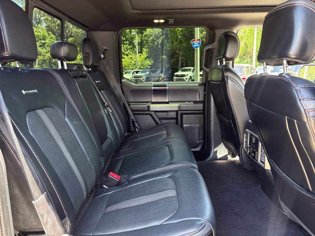 2019 Black Metallic Ford F-150 Platinum 4X4 Truck