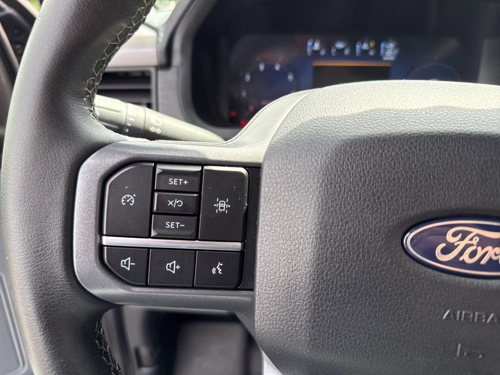 2025 Marsh Gray Ford F-150 XLT 4X4 Truck