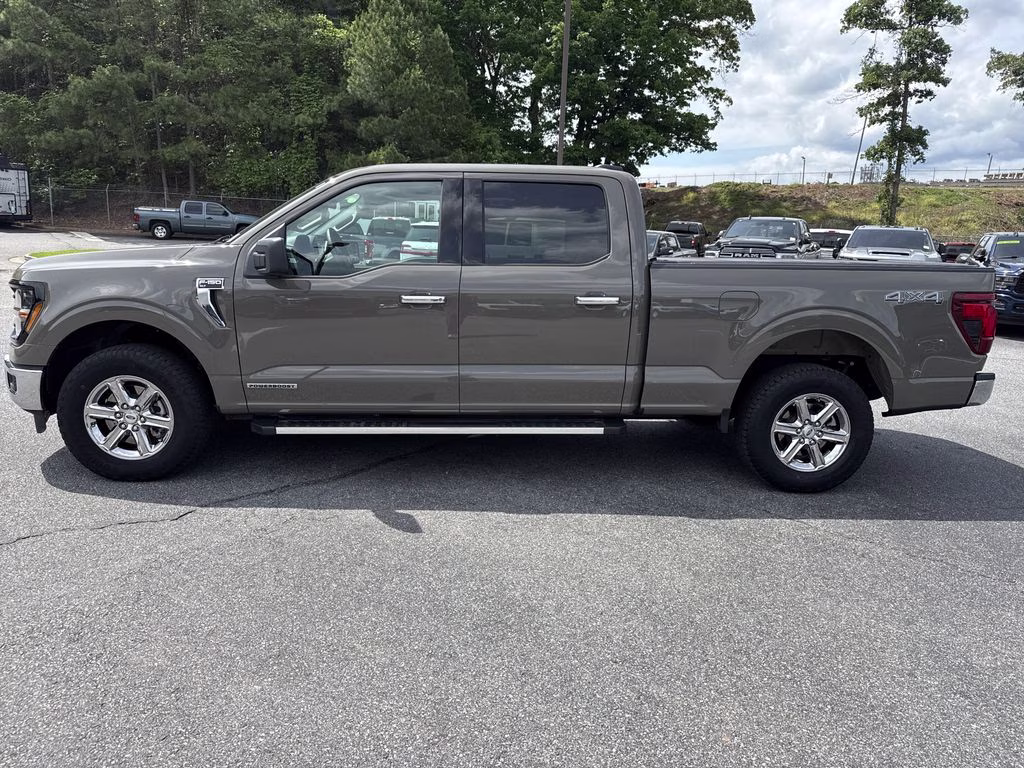 2025 Marsh Gray Ford F-150 XLT 4X4 Truck