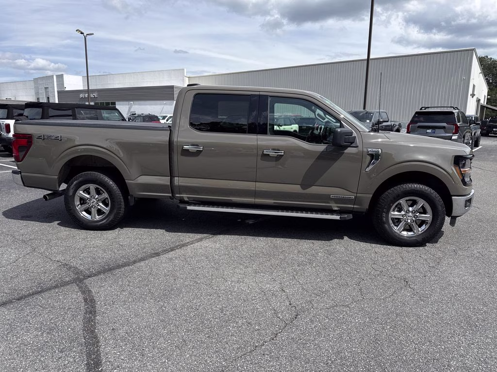 2025 Marsh Gray Ford F-150 XLT 4X4 Truck