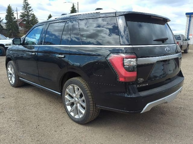 2019 Agate Black Metallic Ford Expedition Platinum 4X4 SUV