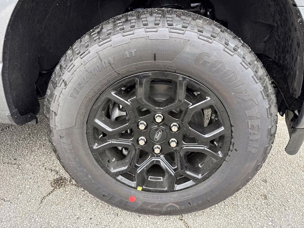 2026 Ford F-150 XLT 4X4 Truck
