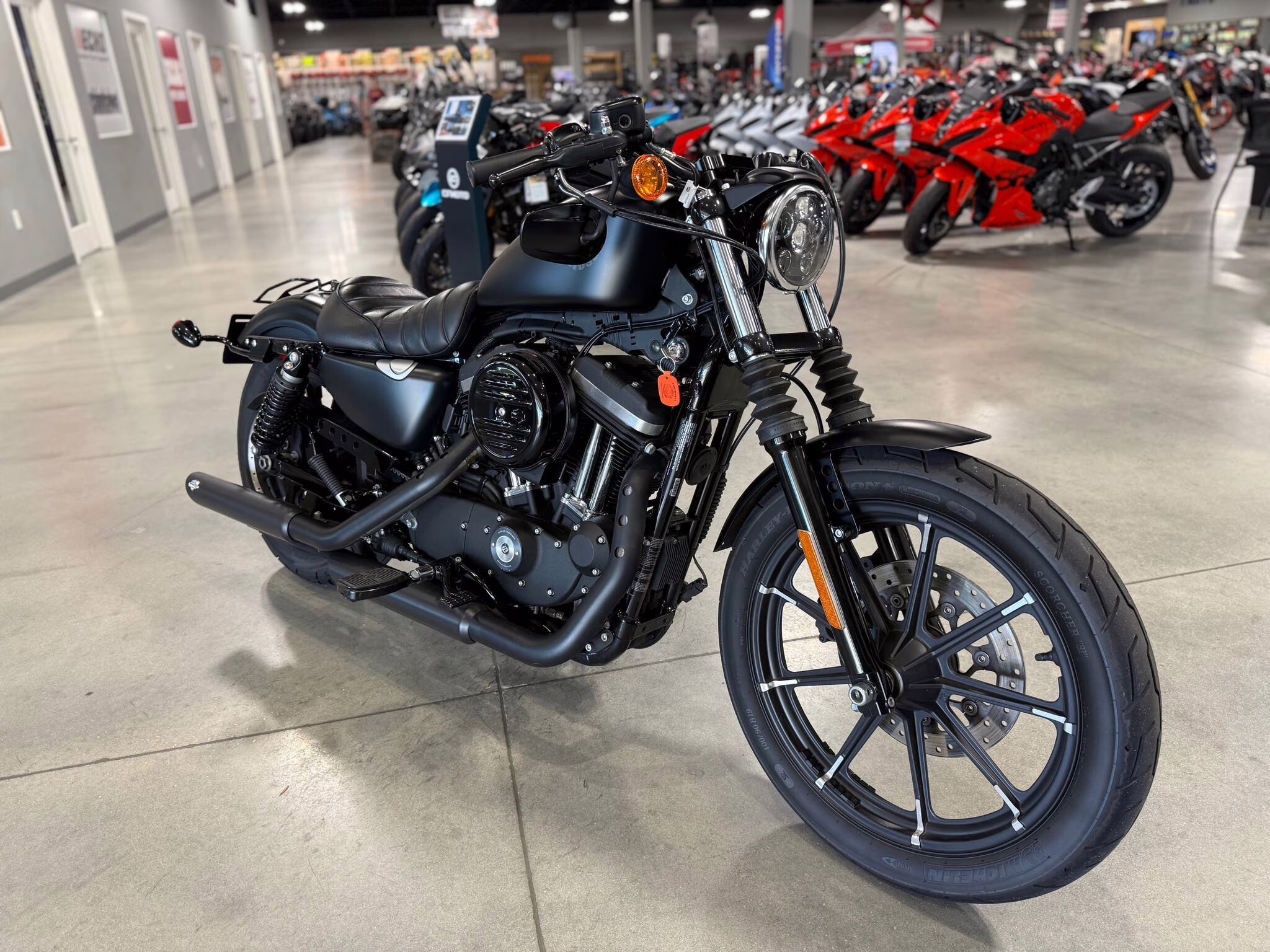 2022 Harley-Davidson Sportster Iron 883 Motorcycle