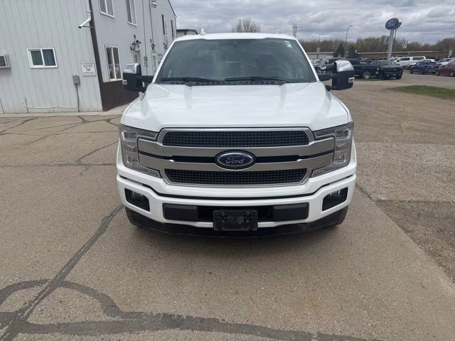 2020 White Metallic Ford F-150 Platinum 4X4 Truck