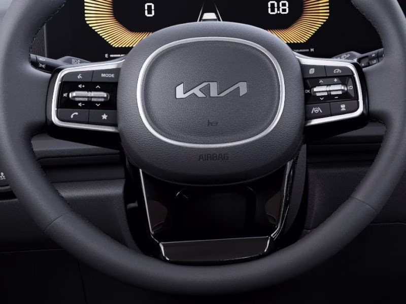 2026 Aurora Black Kia Carnival EX FWD Van