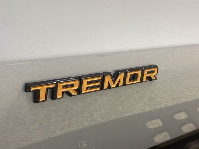 2026 Glacier Gray Met Tri-Coat Ford Expedition Tremor 4X4 SUV
