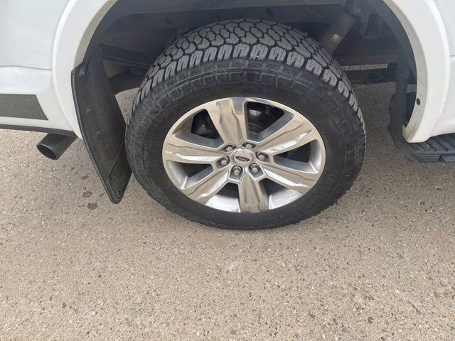 2020 White Metallic Ford F-150 Platinum 4X4 Truck