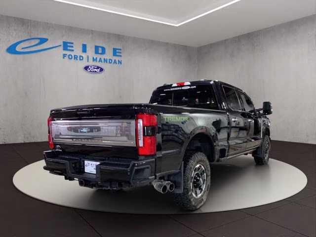 2023 Agate Black Metallic Ford Super Duty F-250 SRW Platinum 4X4 Truck