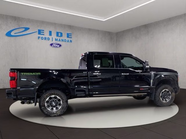 2023 Agate Black Metallic Ford Super Duty F-250 SRW Platinum 4X4 Truck