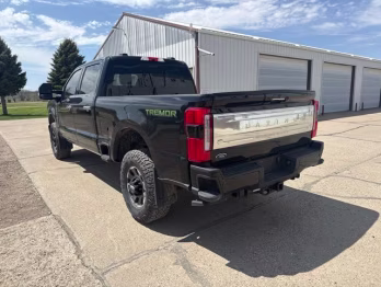 2023 Agate Black Metallic Ford Super Duty F-250 SRW Platinum 4X4 Truck