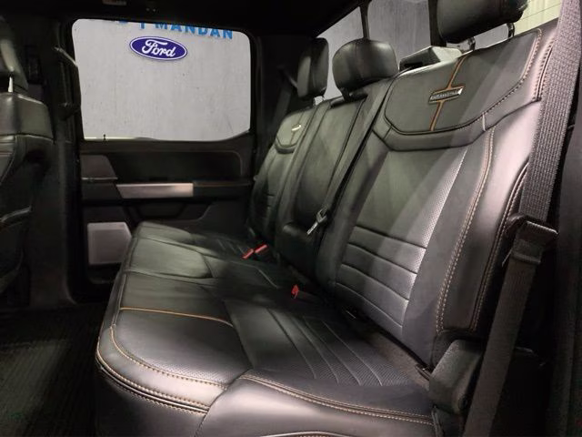 2023 Agate Black Metallic Ford Super Duty F-250 SRW Platinum 4X4 Truck