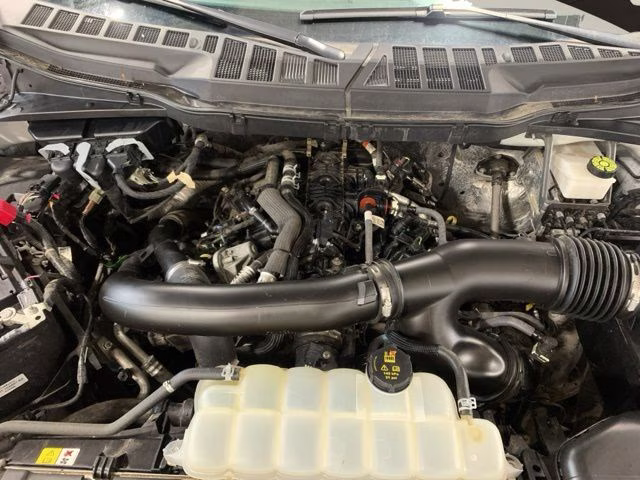 2024 Oxford White Ford F-150 XLT 4X4 Truck