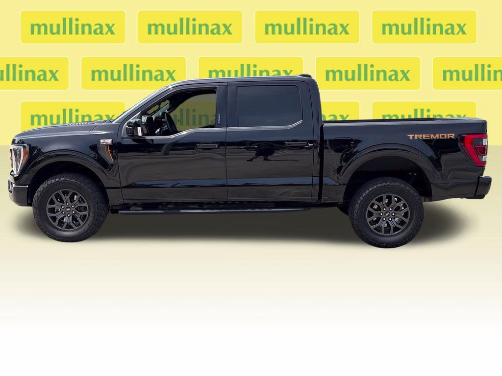 2023 Black Metallic Ford F-150 Tremor 4X4 Truck