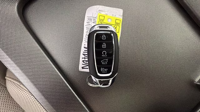 2021 Becketts Black Hyundai Palisade Calligraphy AWD SUV