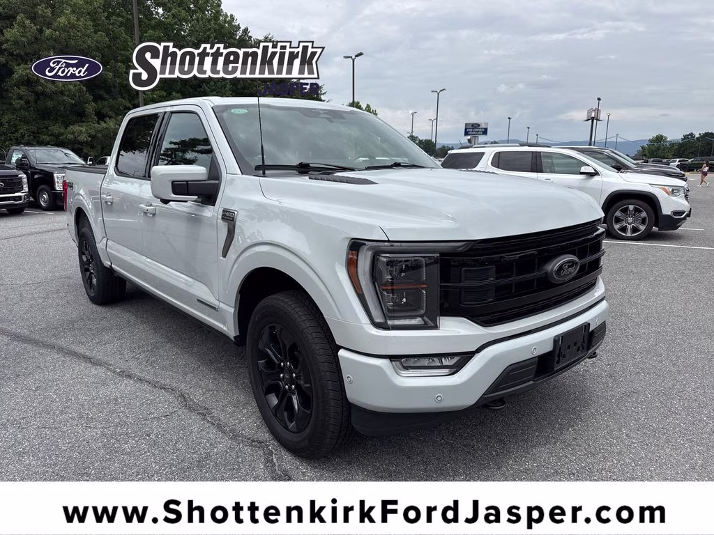 2023 Avalanche Ford F-150 Platinum 4X4 Truck