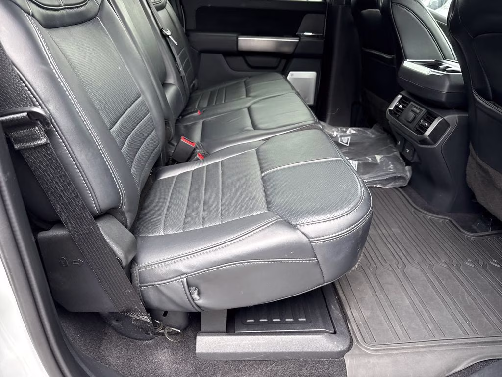 2023 Avalanche Ford F-150 Platinum 4X4 Truck