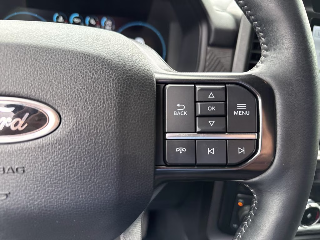 2023 Avalanche Ford F-150 Platinum 4X4 Truck