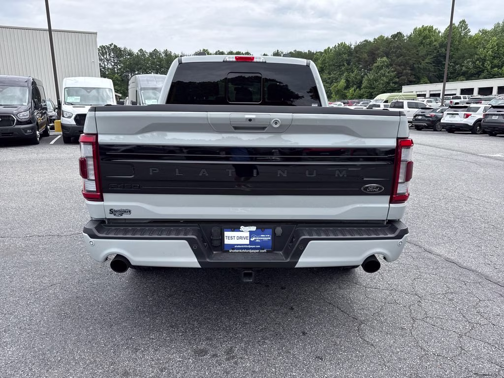 2023 Avalanche Ford F-150 Platinum 4X4 Truck