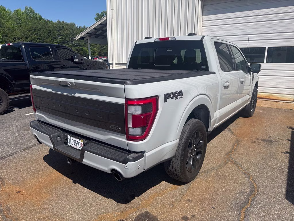 2023 Avalanche Ford F-150 Platinum 4X4 Truck