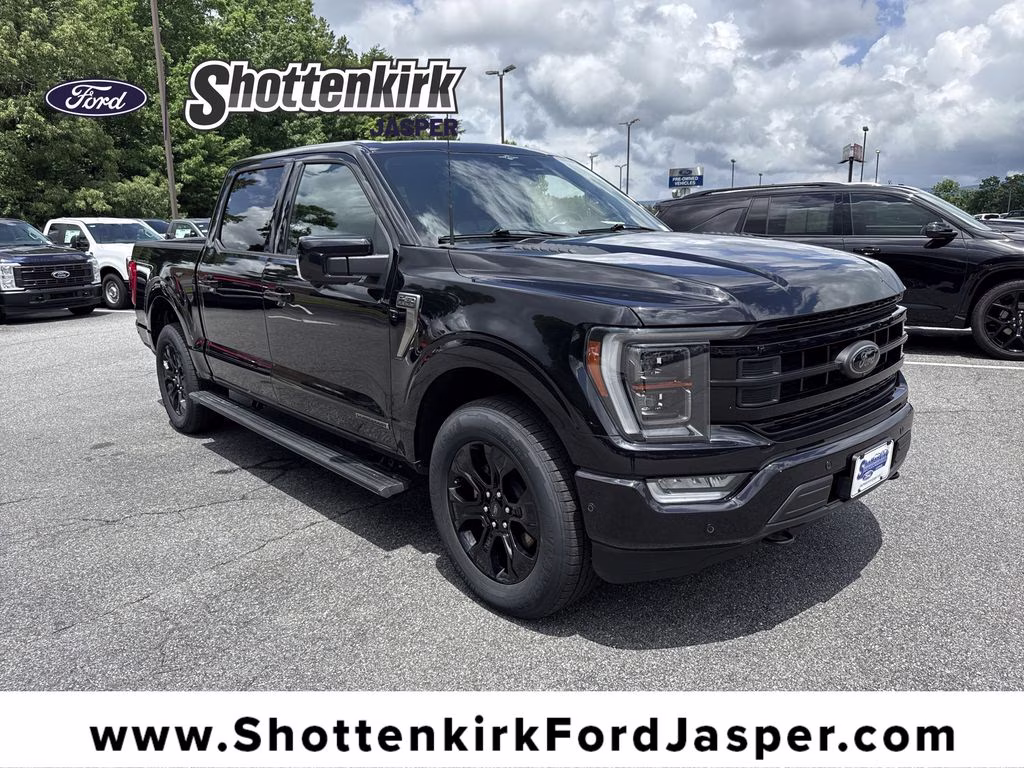 2023 Agate Black Metallic Ford F-150 Platinum 4X4 Truck
