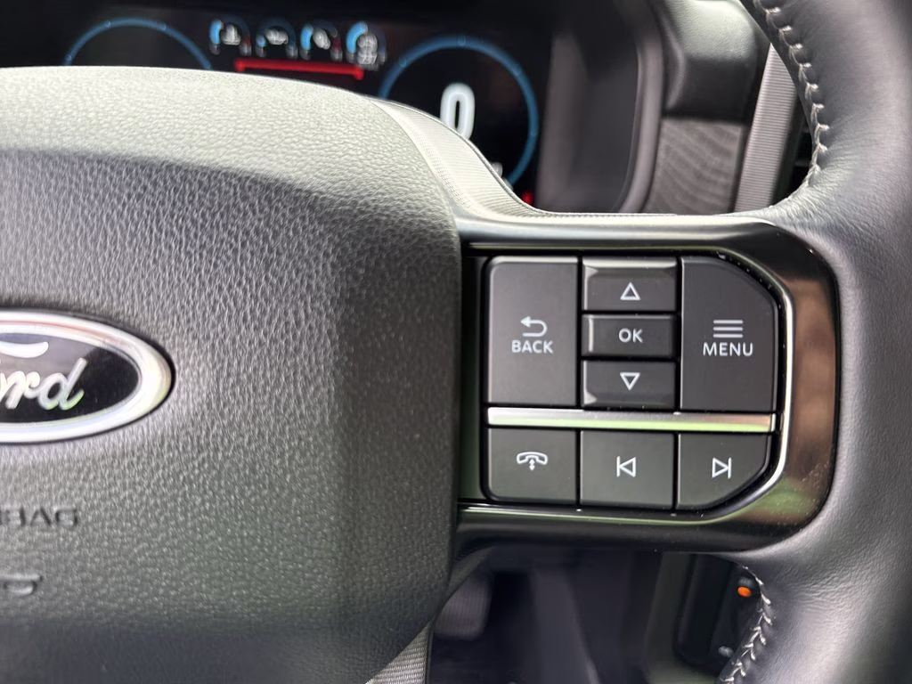 2023 Agate Black Metallic Ford F-150 Platinum 4X4 Truck