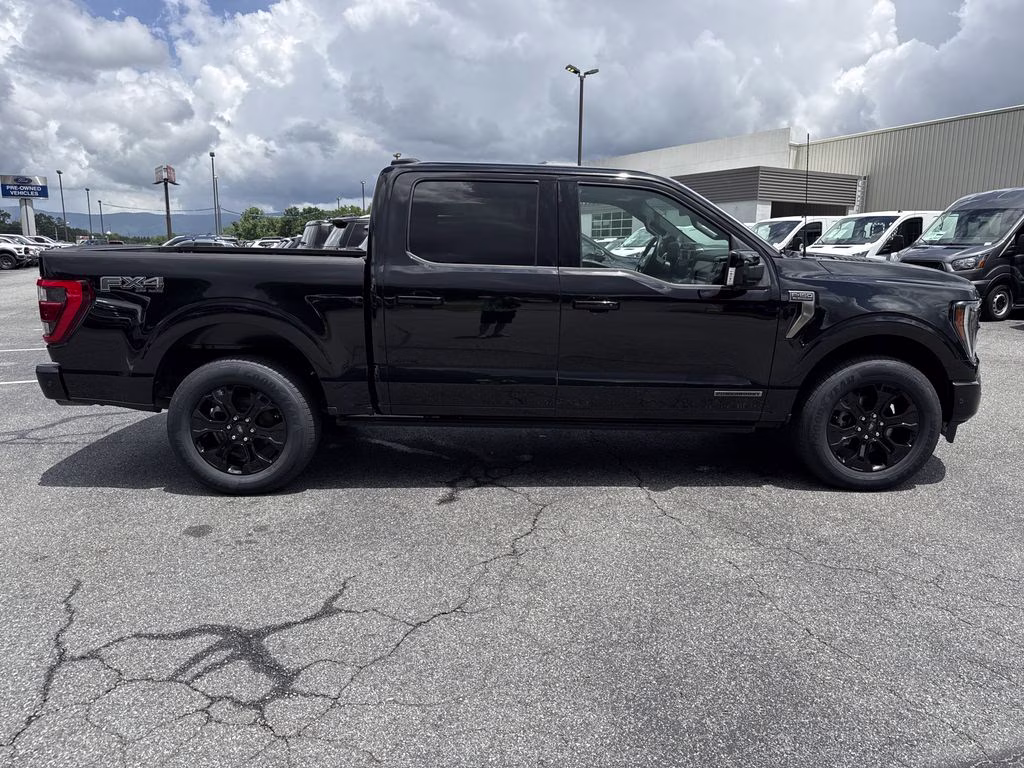2023 Agate Black Metallic Ford F-150 Platinum 4X4 Truck