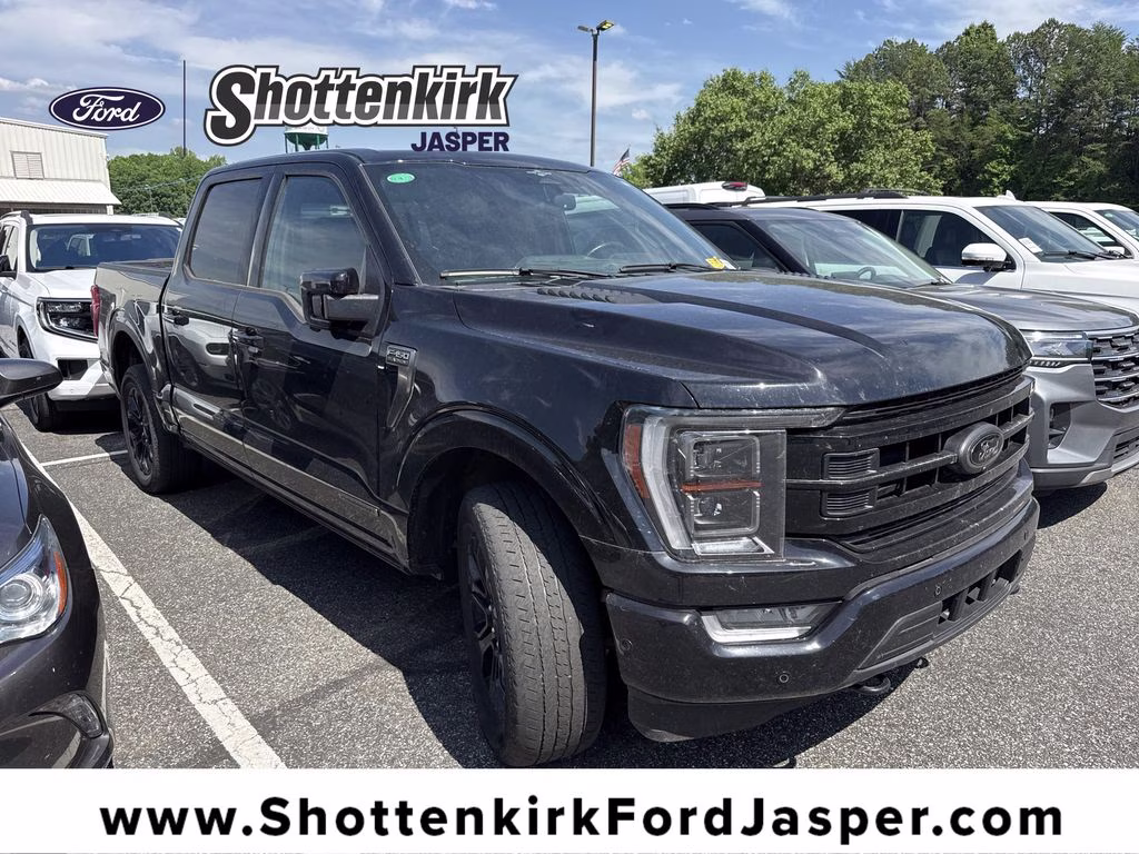 2023 Black Metallic Ford F-150 Platinum 4X4 Truck