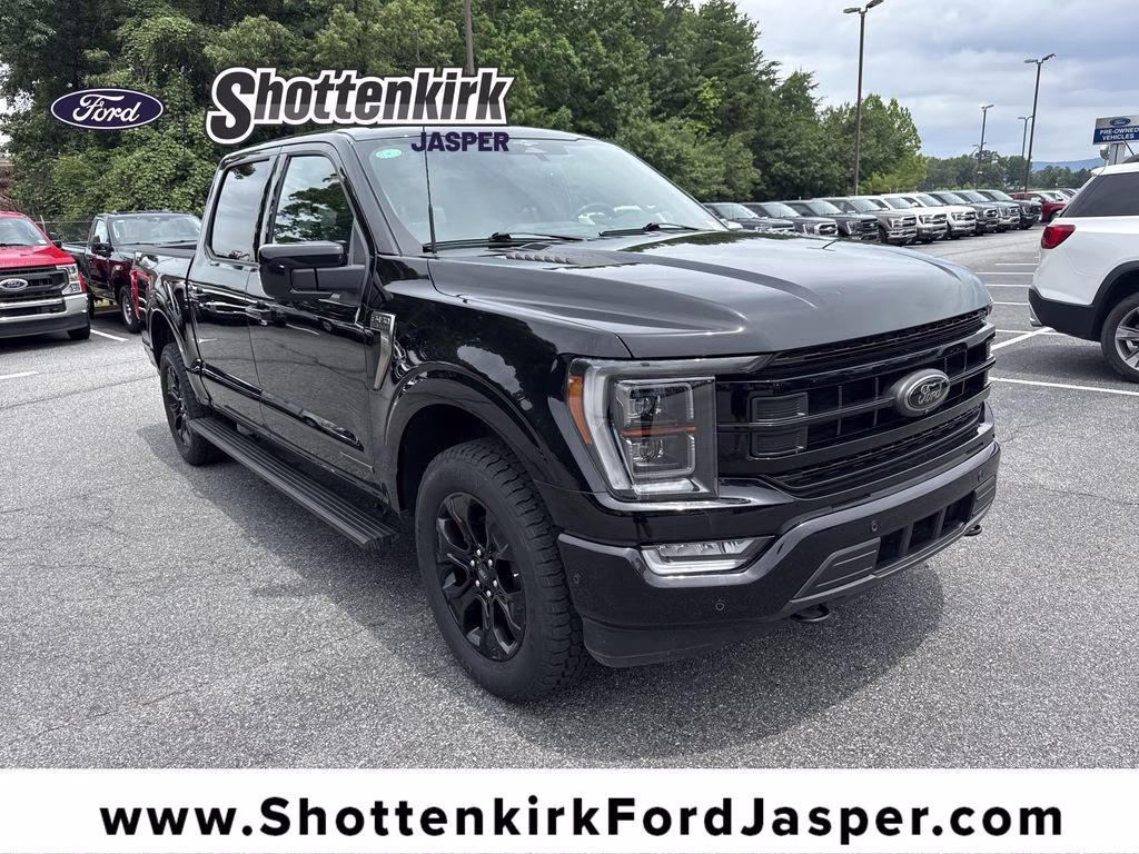 2023 Black Metallic Ford F-150 Platinum 4X4 Truck