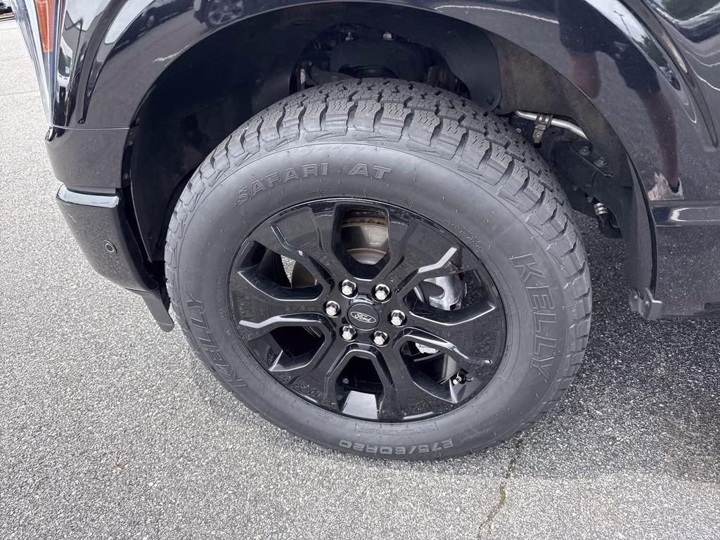 2023 Black Metallic Ford F-150 Platinum 4X4 Truck