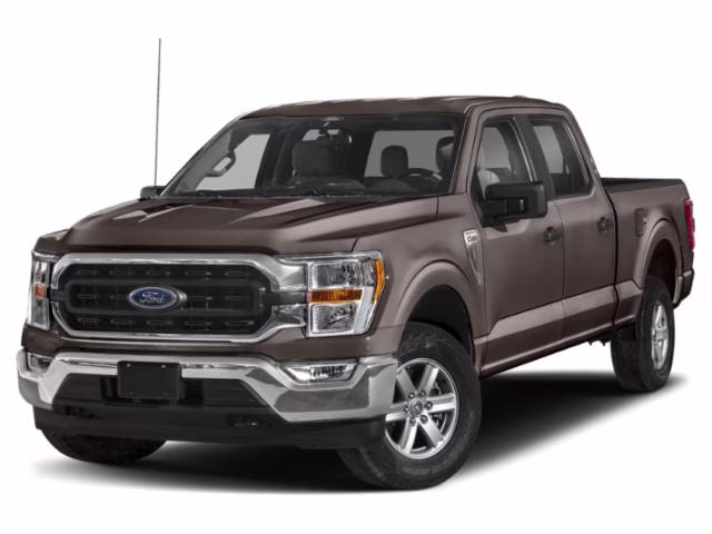 2021 Stone Gray Ford F-150 XLT RWD Truck