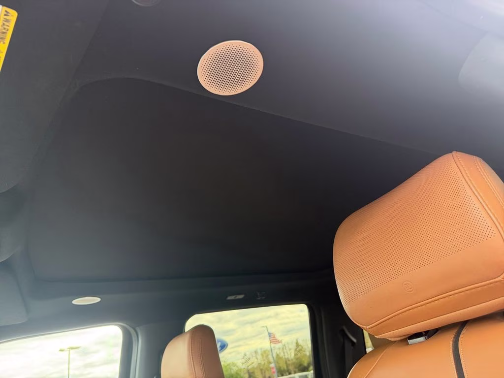 2023 Agate Black Metallic Ford Super Duty F-450 DRW Platinum w/Camper Pkg & Twin Panel Moonroof 4X4 Truck