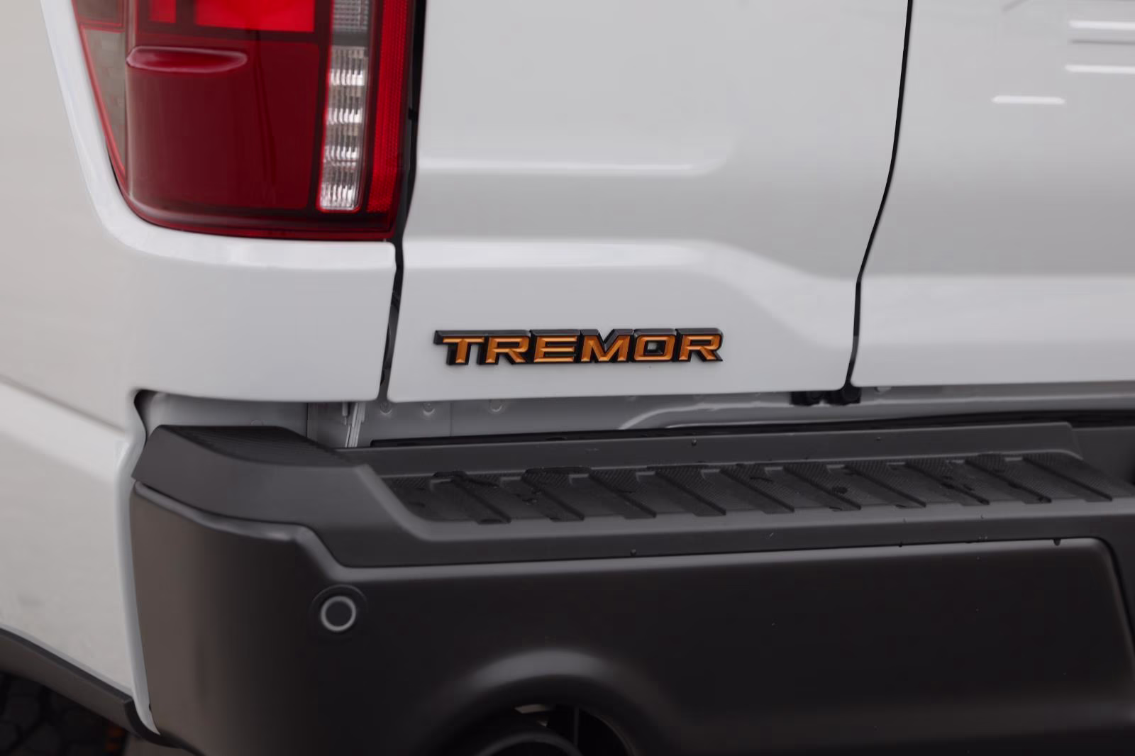 2026 Avalanche Ford F-150 Tremor 4X4 Truck