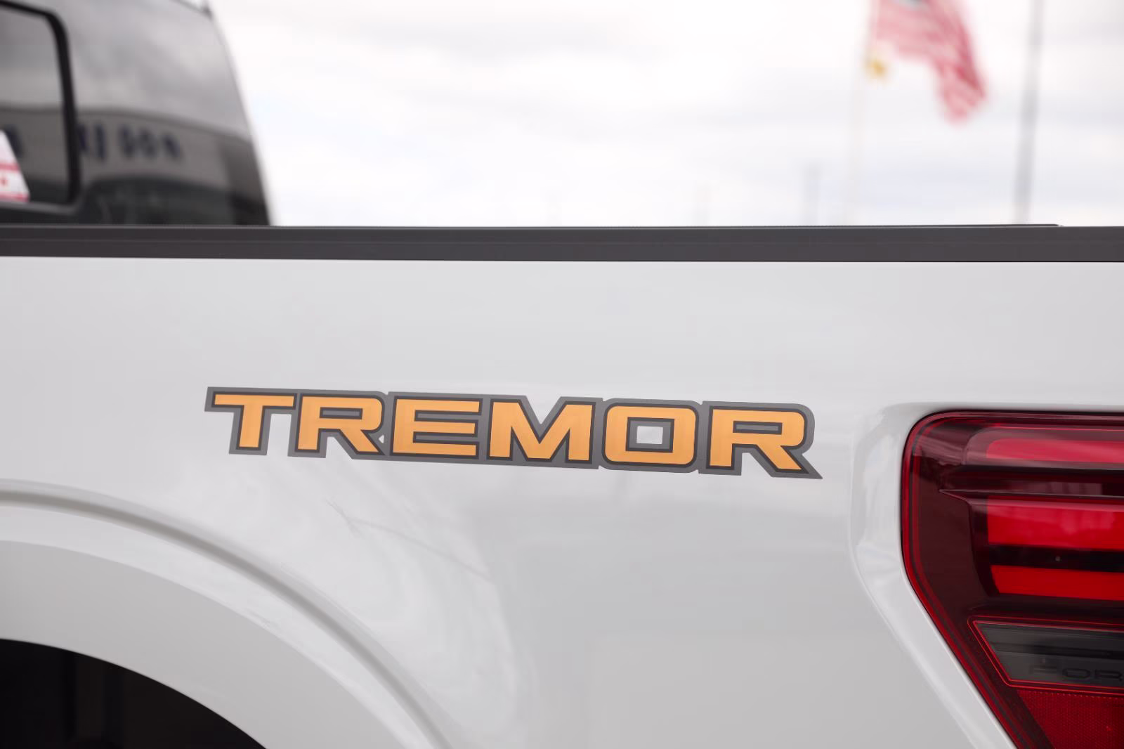 2026 Avalanche Ford F-150 Tremor 4X4 Truck