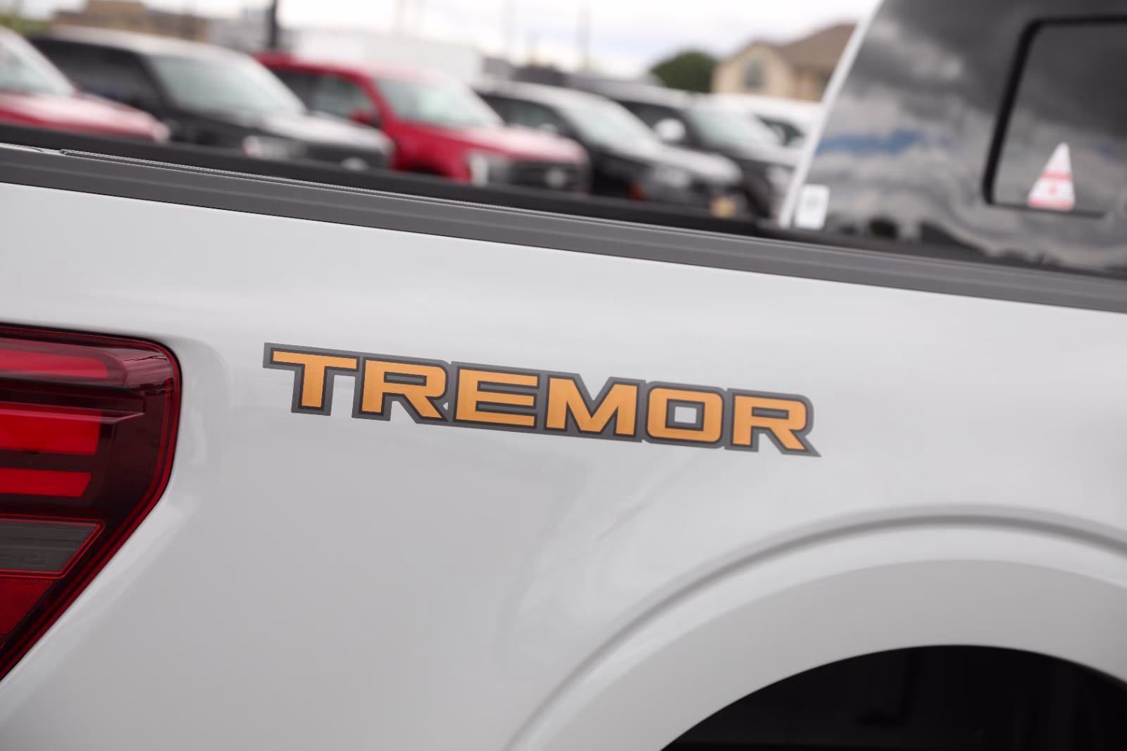 2026 Avalanche Ford F-150 Tremor 4X4 Truck
