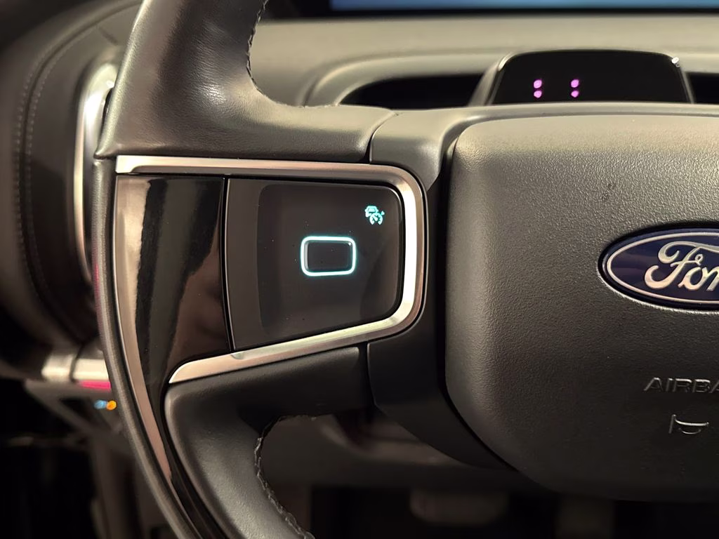 2025 Agate Black Metallic Ford Expedition Platinum 4X4 SUV