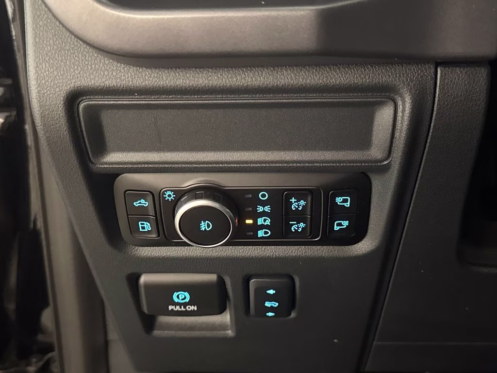2025 Agate Black Metallic Ford F-150 XLT 4X4 Truck