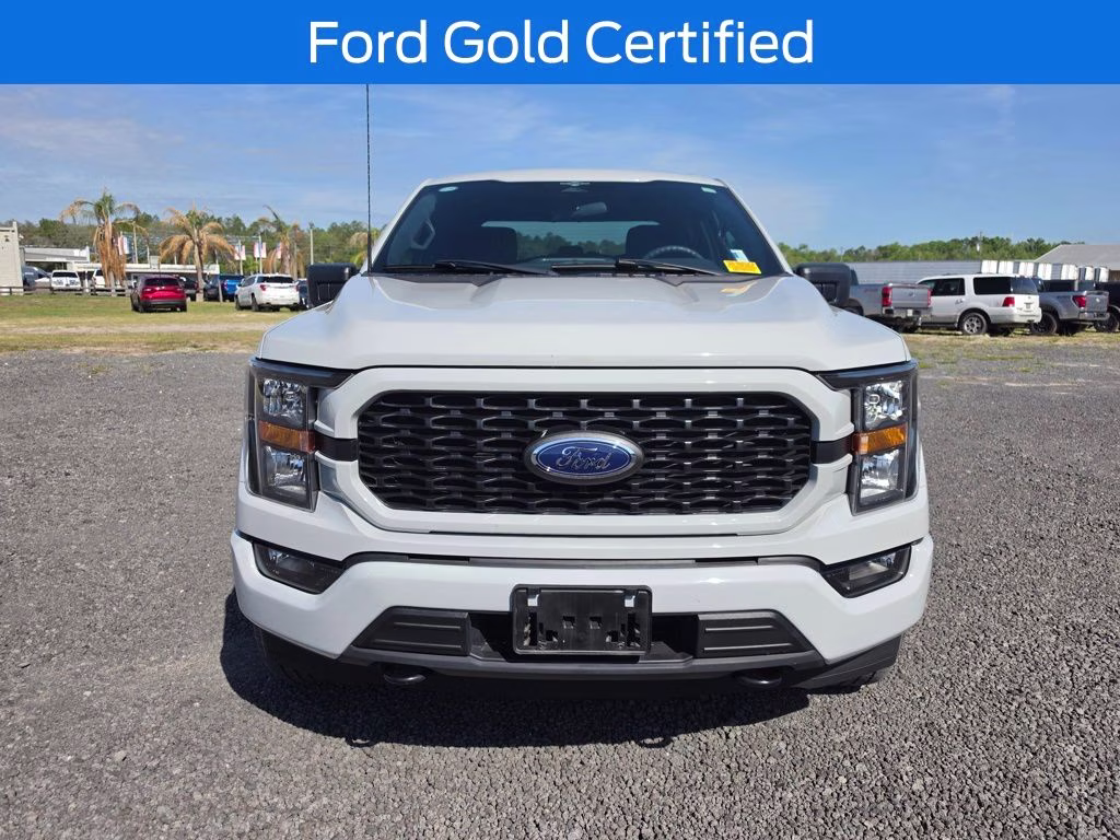 2023 Avalanche Ford F-150 XL 4X4 Truck