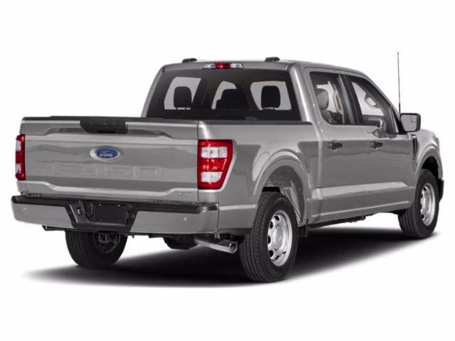 2023 Avalanche Ford F-150 XL 4X4 Truck