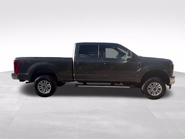 2019 Magnetic Ford Super Duty F-250 SRW XLT 4X4 Truck