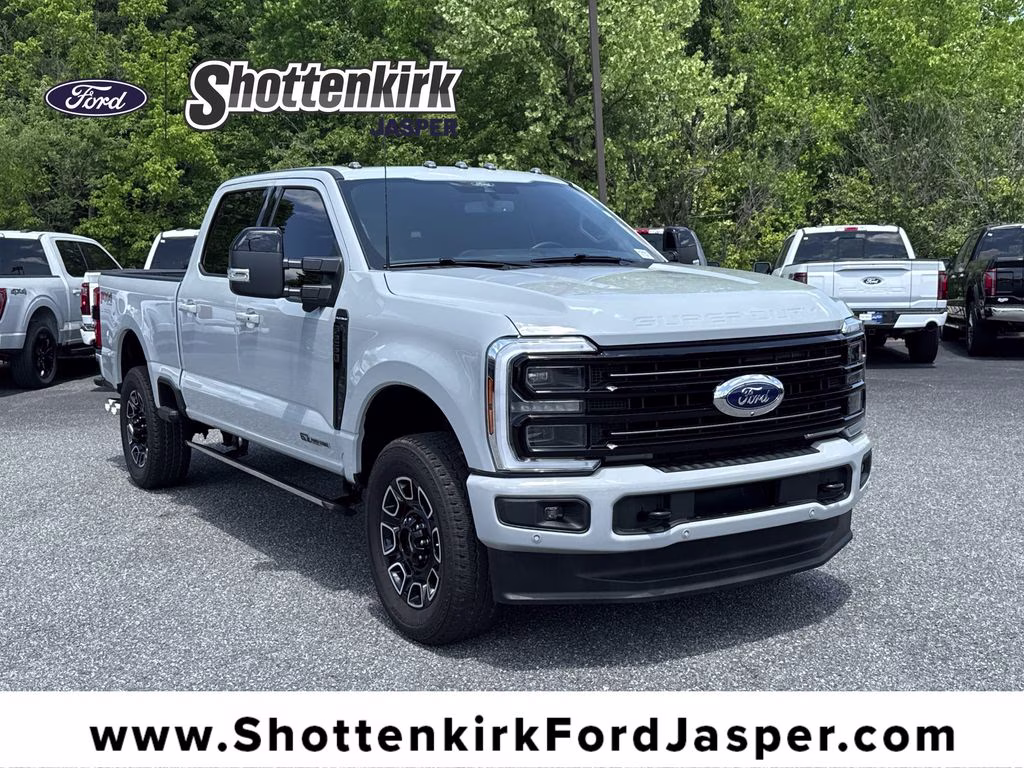 2025 Avalanche Ford Super Duty F-250 SRW Platinum 4X4 Truck