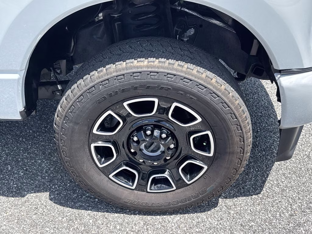 2025 Avalanche Ford Super Duty F-250 SRW Platinum 4X4 Truck